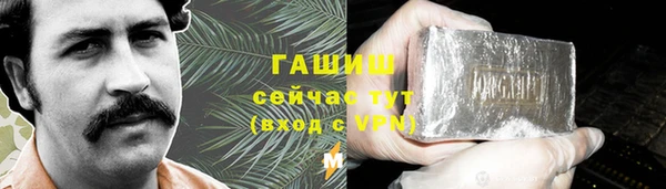 ешки Дмитриев