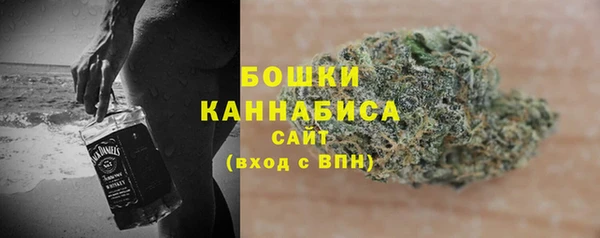 ешки Дмитриев