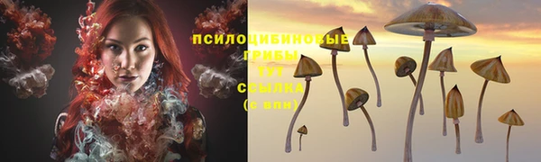 ешки Дмитриев