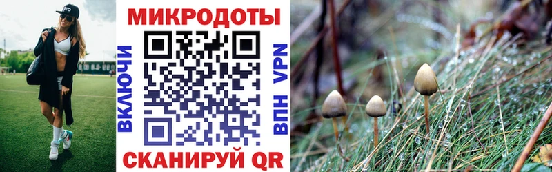 мега tor  даркнет какой сайт  Псилоцибиновые грибы Magic Shrooms  Заринск 
